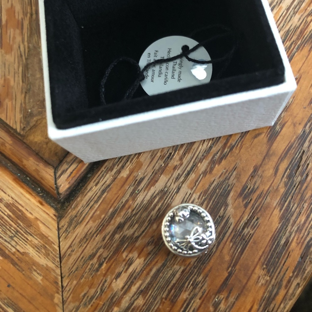 Pandora charm